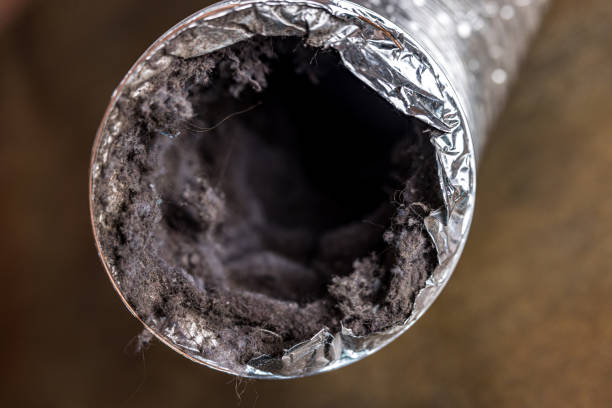 Best Affordable Air Duct Cleaning  in Fayetteville, WV